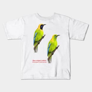 Blue-winged Leafbird | Chloropsis moluccensis ⚥ Kids T-Shirt